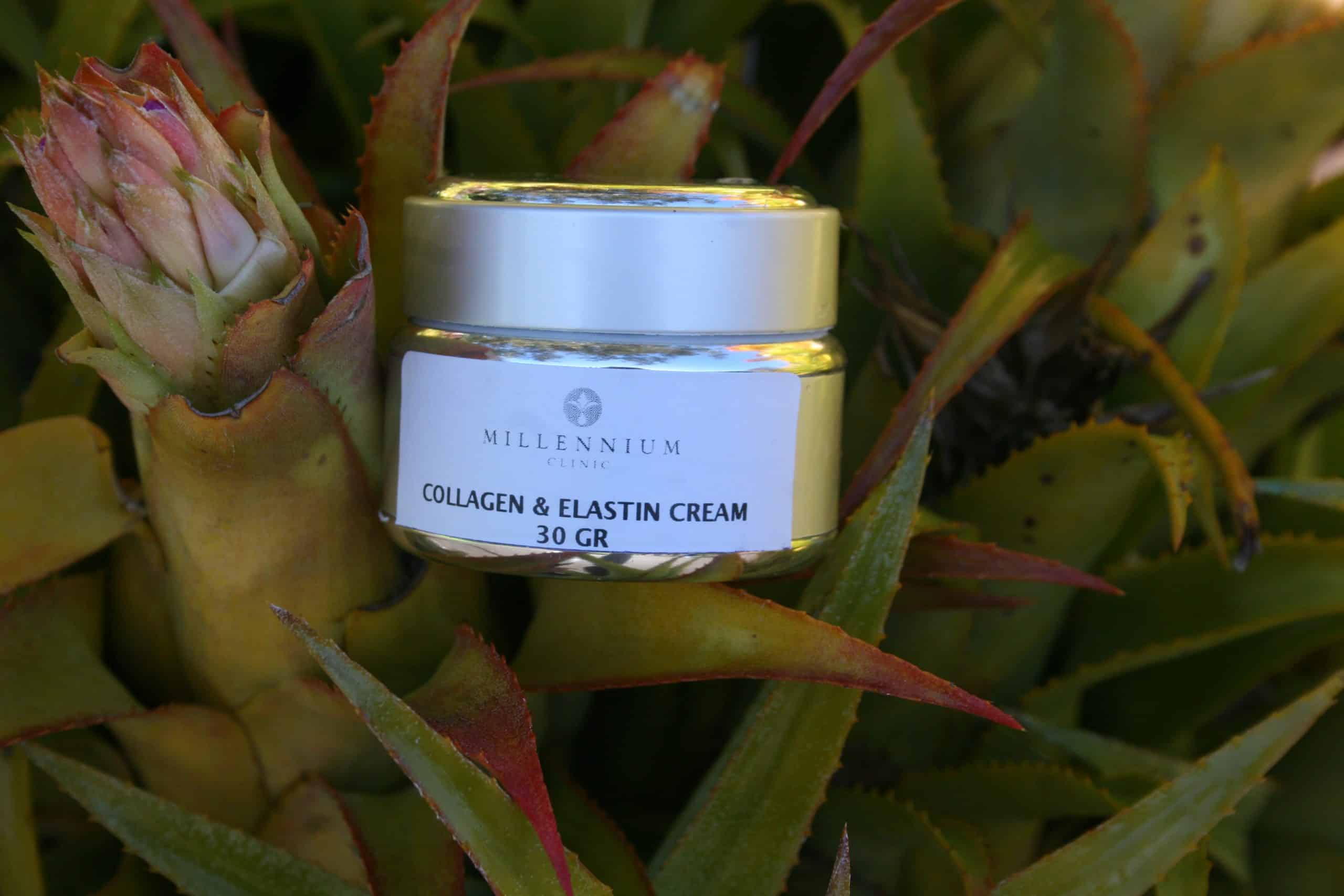 COLLAGEN & ELASTIN CREAM - day and night for mature sensitive and dry skin