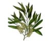 Anti-Acne Mini Tea Tree Facial